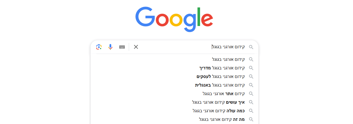 קידום אתרים אורגני בגוגל