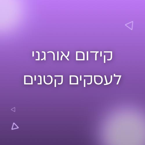 קידום אורגני לעסקים קטנים - חשוב יותר ממה שאתם חושבים