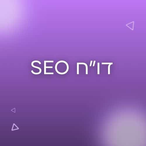 דוח SEO של בוספרס