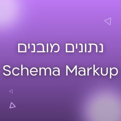 נתונים מובנים schema markup